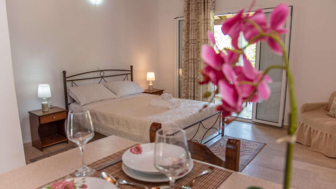 • Comfort-Focused Accommodation